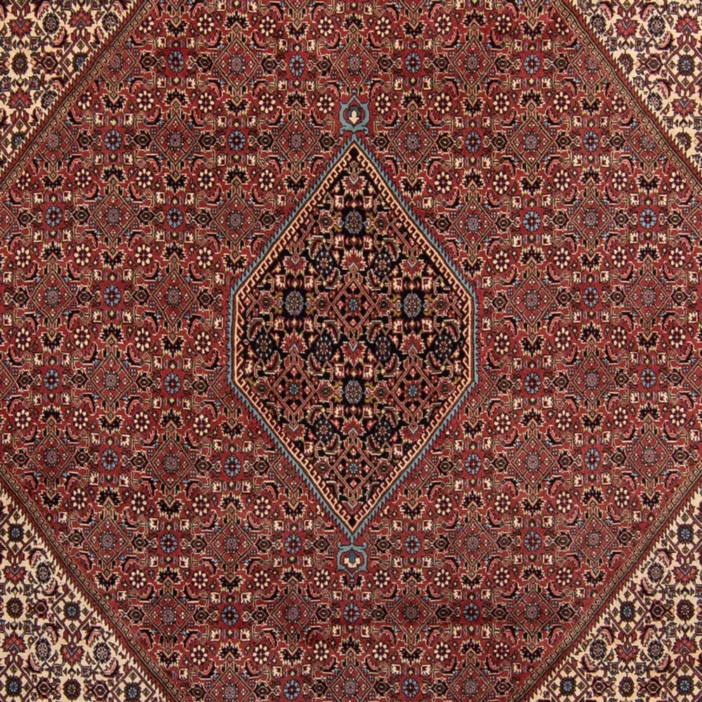 Perserteppich - Bidjar 350 x 248 cm - braun