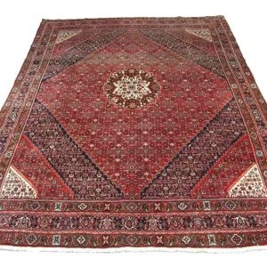 Perserteppich - Bidjar 400 x 302 cm - braun