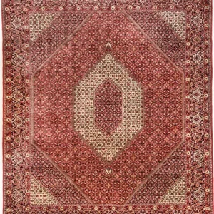 Perserteppich - Bidjar - Royal 310 x 250 cm