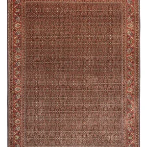 Perserteppich - Bidjar - Royal - 342 x 252 cm - terrakotta