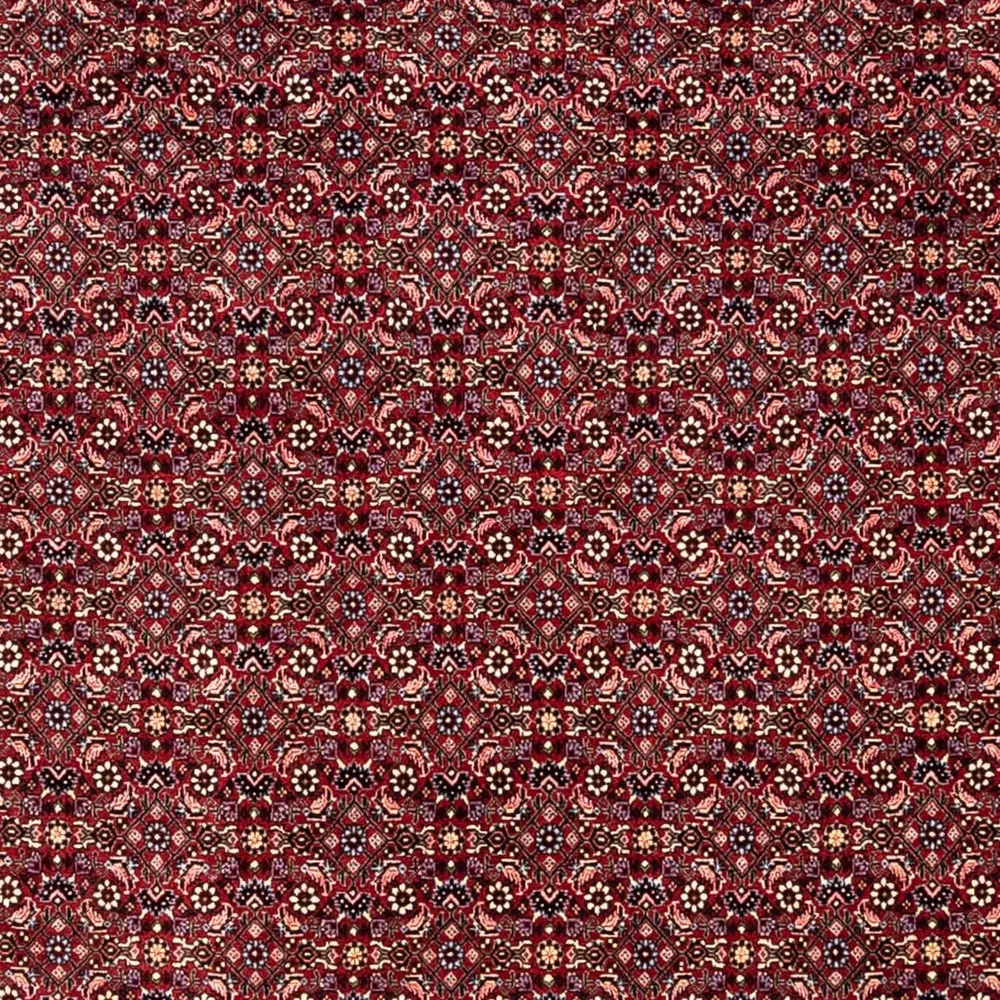 Perserteppich - Bidjar - Royal 349 x 250 cm - rot