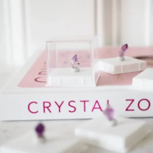 Zepter Amethyst MINI MINERALS BOX 3x3cm - aus Kachur Indien. RARE