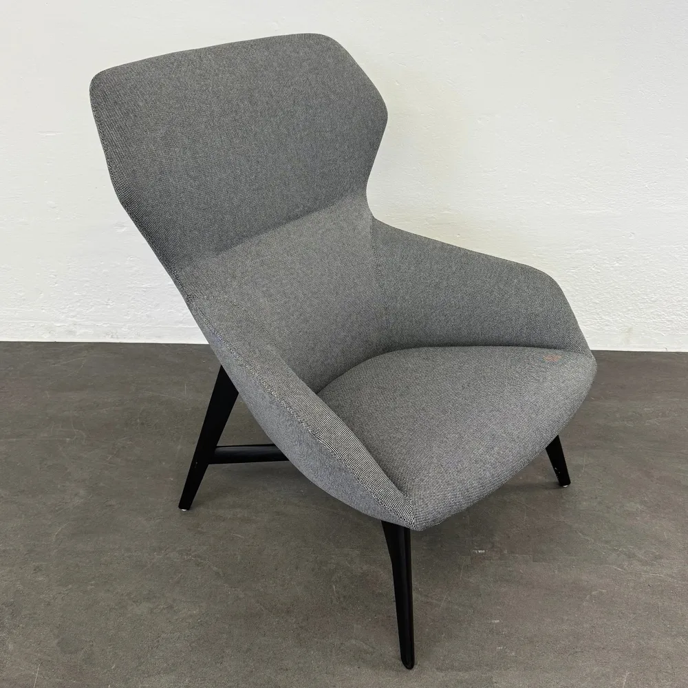 Brunner Ray Lounge-Sessel